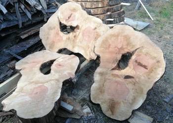 Plastry grusza 118x75x8 także dąb i wiąz