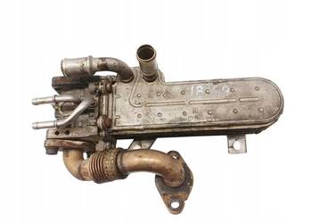 CHŁODNICA SPALIN 038131513AD 1.9 TDI VW Volkswagen Touran I (2003-2010)