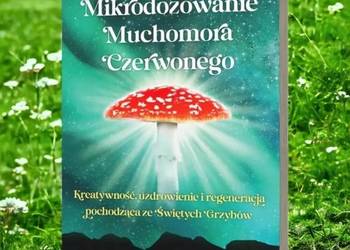 Nowa Mikrodozowanie Muchomora Czerwonego Baba Masha