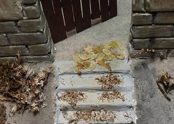 Listki liście posypka modelarska do makiet dioram modeli 1:35 skala