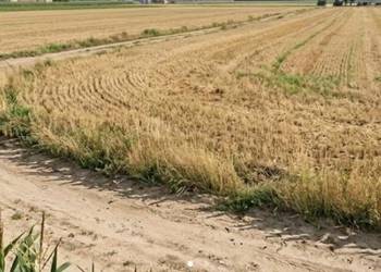 Działka rolna okolice Krakowa