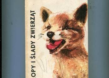 Tropy i ślady zwierząt - Chmielewski