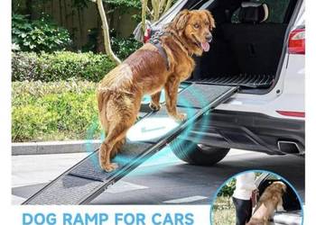Składana rampa dla dużych psów