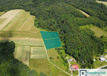 Oferta sprzedaży gruntu 4527m2 Lalin