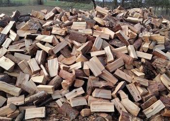 Drzewo Rąbane Sosna Brzoza Osika