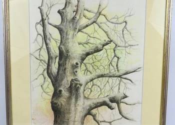 Rysunek na papierze “Loutering” podpis autora nieczytelny Holandia 1984r