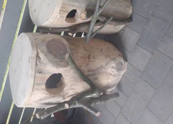 Budka lęgowa dla papug