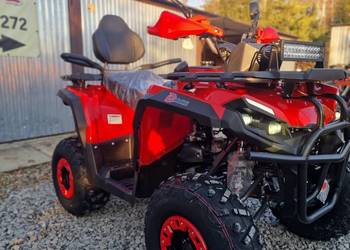 Quad Diabolini Hammer 300PRO XL, 200cc chłodzony olejem,