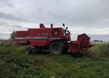 Kombajn zbożowy massey ferguson 530