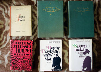 Hugo. Stevenson, Cooper. Hasek. May. Sienkiewicz. Dostojewski. Orzeszkowa