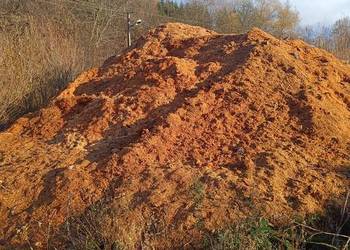 Sprzedam trociny (wióry drzewne) poprodukcyjne – mokre
