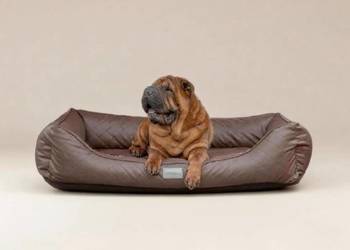 Asortyment do sklepu zoologicznego