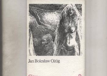 Cisza - Jan Bolesław Ożóg