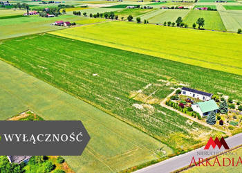 Działka Brzezie 6121m2