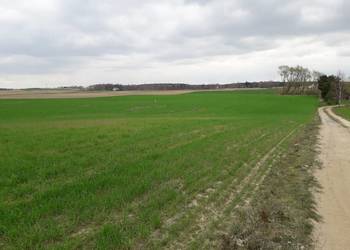 Dwie działki z warunkami zabudowy w Górze