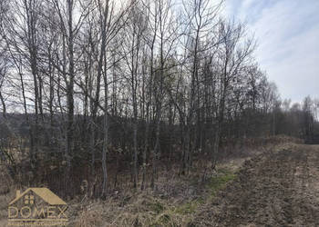 Działka Radlin 3467m2