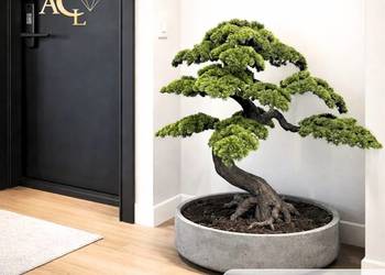Sztuczne drzewko Bonsai Premium 120x75x140
