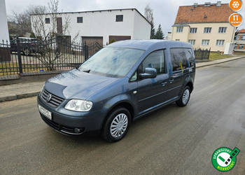 Volkswagen Caddy Opłacony Zdrowy Zadbany Serwisowany TDI 7 Osobowy Po Serw…