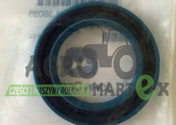 AL38095, 81396C1, 1-33-742-301 USZCZELKA  JD