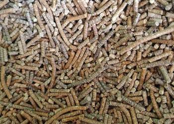 Sprzedam Pellet paszowy