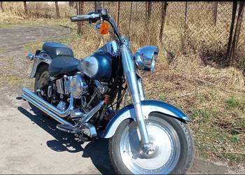 Harley Davidson Fat Boy Evolution