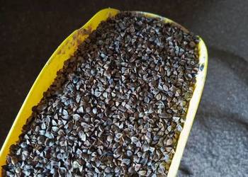 Gryka Tatarka 2025 Gryka Tatarka 2025