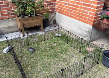 Wybieg modułowy dla świnki morskiej królika szynszyli