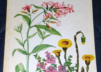 Zioła w gospodarstwie domowym - Janina Obidzińska