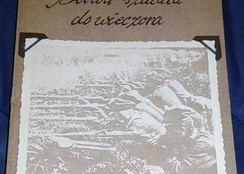 Bitwa szalała do wieczora - Gerard Górnicki