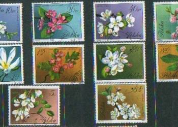 Zn. Fi 1985 - 94 kas 1971