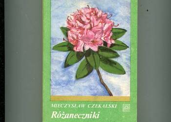 Różaneczniki