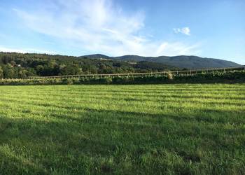 Kierlikówka działka budowlana 56,63a Beskid Wyspowy