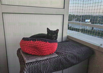 Ochrona balkonu przed kotem bez wiercenia Warszawa Montaż Siatki Na Balkon Ochrona balkonu przed kotem bez wiercenia Warszawa Montaż Siatki Na Balkon