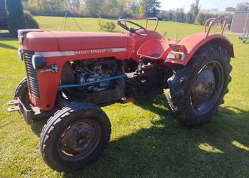 MF Ciągnik Massey Ferguson MF30 do rejestracji