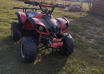 Quad ATV 110