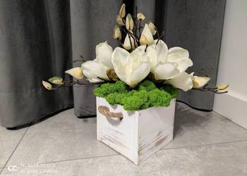 Kompozycja: Magnolia, Mech Chrobotek, osłonka 13 cm