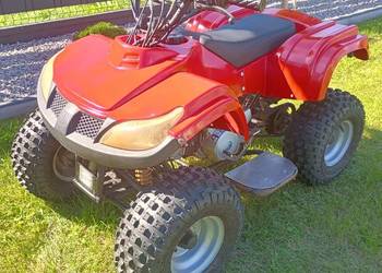 Quad 110cc