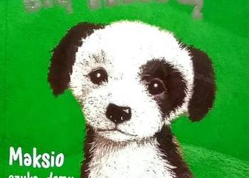 301 Holly Webb Zaopiekuj się mną (DP) (19)