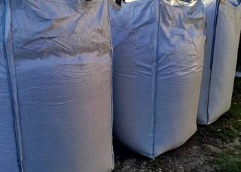 Jęczmień zimowy Aleksandra