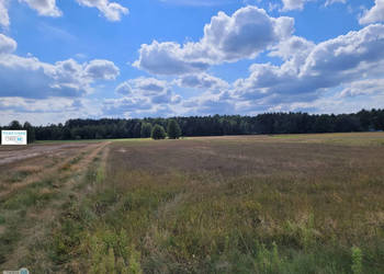 Działka 8000m2 Kluczewsko