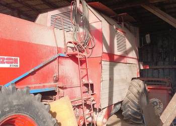 Sprzedam Bizona i Rekorda