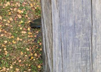 Stół dębowy Monolit 40160lat