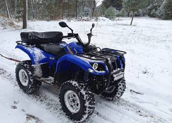 Yamaha Grizzly 660
