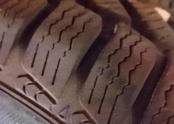 Opony zimowe Dębica Frugo 2 195/65/R15