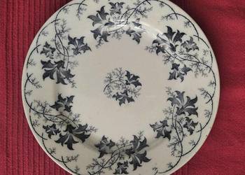 Porcelanowy zabytkowy talerz Villeroy&Boch Elbe Mettlach