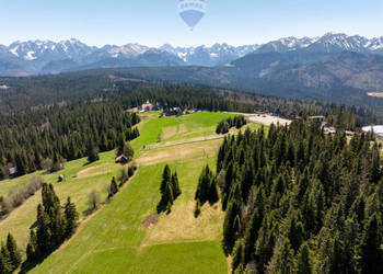 DZIAŁKA Z POTENCJAŁEM - MAŁE CICHE