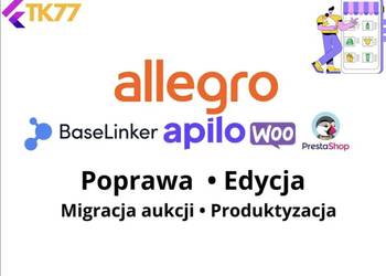 Poprawa Aukcji ALLEGRO Produktyzacja Baselinker Integracje i Migracja -Tk77