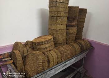 Makuch rzepakowy na paszę