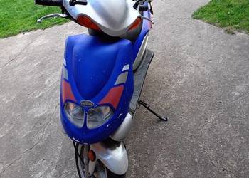 Skuter Pegasus corona 50/70 2t