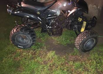 Quad Bashan 250